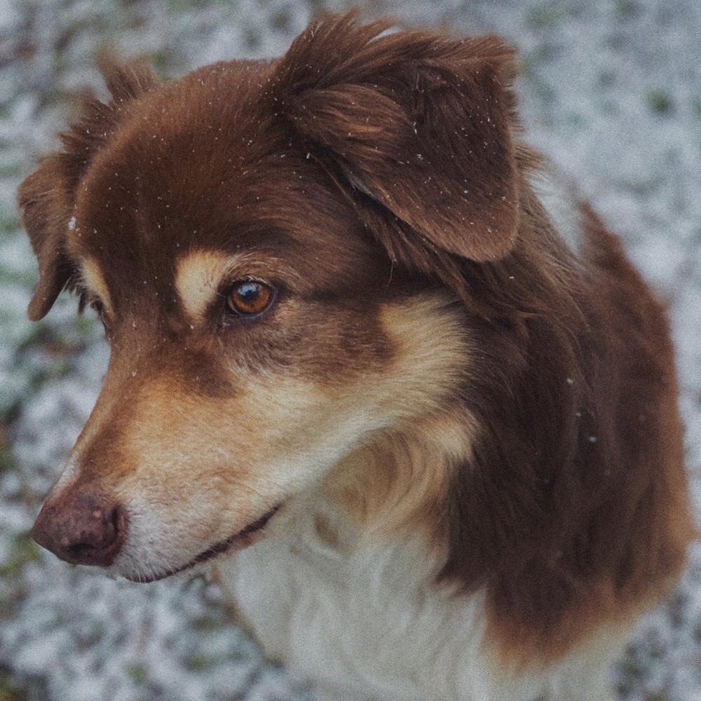 Meet your Posher, Zaine